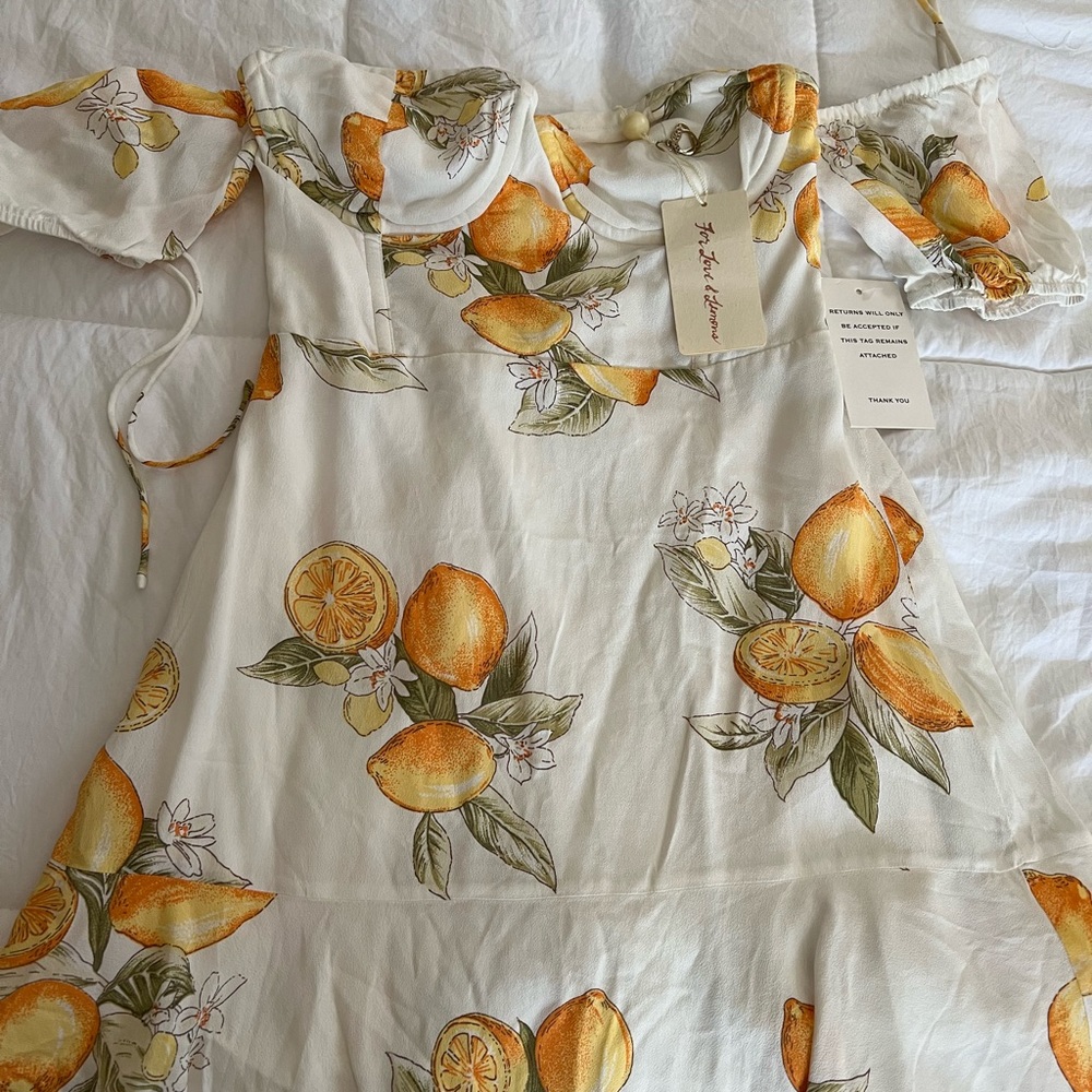 For love & lemons dress